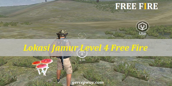 Lokasi Jamur Level 4 Free Fire