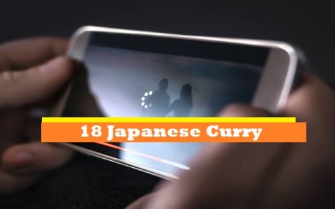 18 Japanese Curry